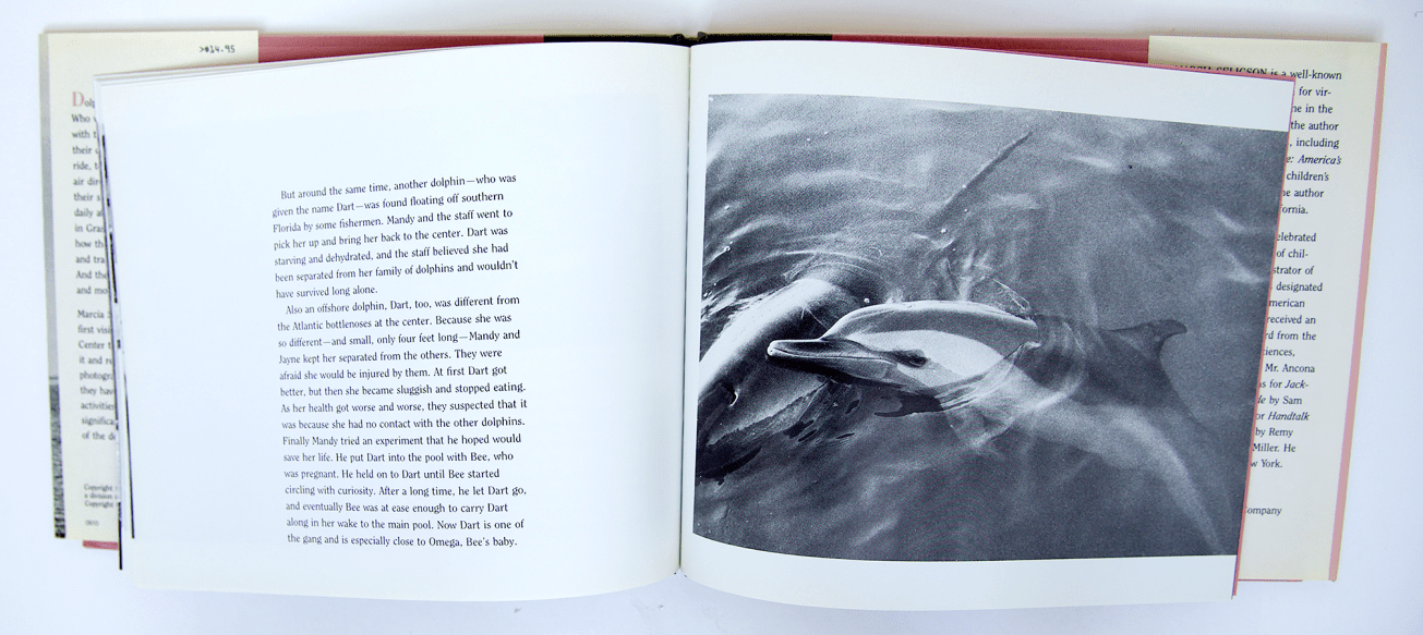 DolphinsAtGrassyKey_spread1