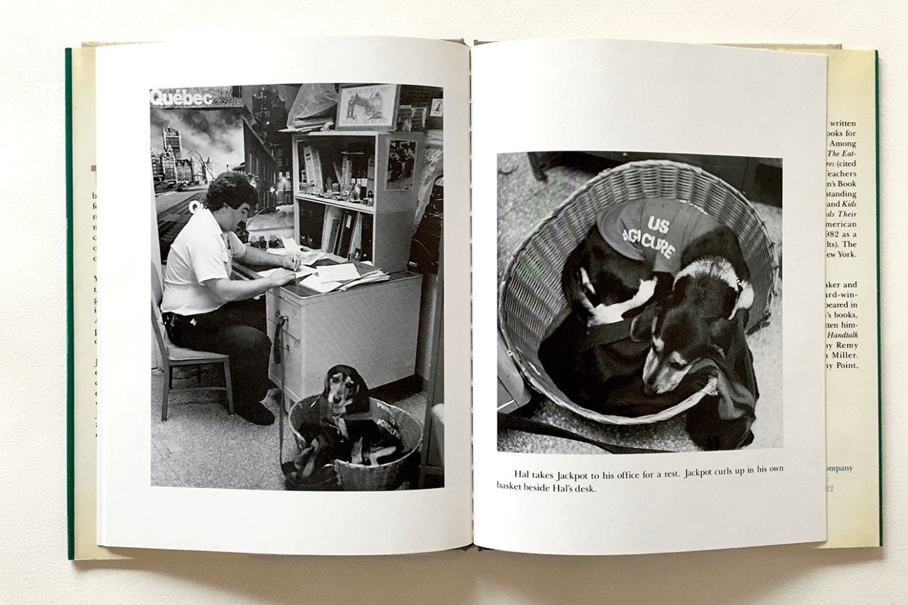 JackpotOfTheBeagleBrigade_spread2