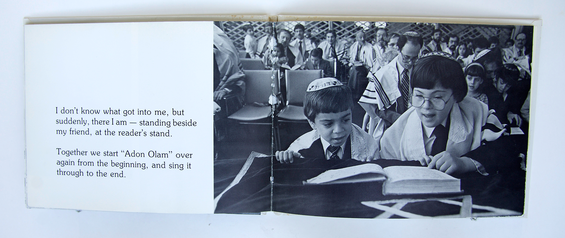 MySpecialFriend_spread1