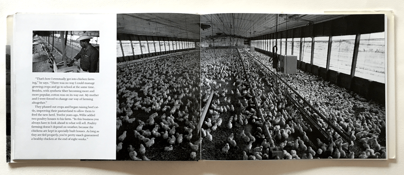 TheAmericanFamilyFarm_spread2