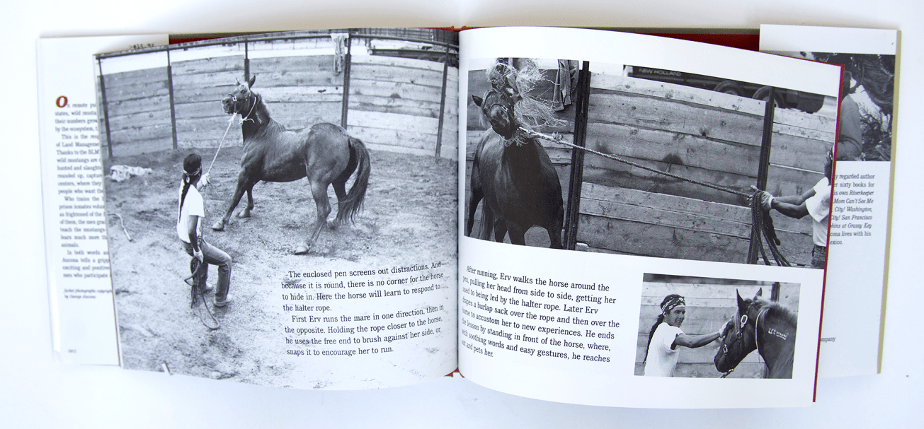 ManAndMustang_spread1